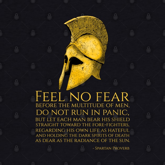 Motivational Ancient Spartan Proverb by Styr Designs